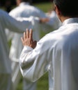 hand of martial arts master Tai Chi with many followers Royalty Free Stock Photo