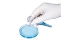Hand in medical latex glove with a test tube filled with blue liquid