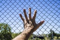 Hand on a metal fence. Border, prison, illegal migration concept.