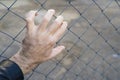 Hand on a metal fence. Border, prison, illegal migration concept.