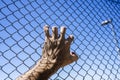 Hand on a metal fence. Border, prison, illegal migration concept.