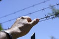 Hand on a metal fence. Border, prison, illegal migration concept. Selected focus