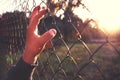 Hand on metal mesh lit by sun.