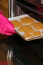 Hand in mittens putting tray with gingerbread cookies in oven. Make gingerbread cookies for Holidays. Christmas cookies Royalty Free Stock Photo