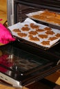 Hand in mittens putting tray with gingerbread cookies in oven. Make gingerbread cookies for Holidays. Christmas cookies Royalty Free Stock Photo