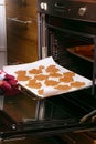 Hand in mittens putting tray with gingerbread cookies in oven. Make gingerbread cookies for Holidays. Christmas cookies Royalty Free Stock Photo