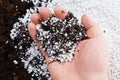 hand with mixed soil and Perlite for plants. neutral material of volcanic origin