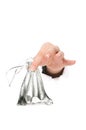 Hand with money bag Royalty Free Stock Photo