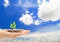 Hand ,money and green sapling with blue sky and cl Royalty Free Stock Photo