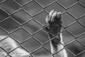A hand of monkey on the cage Royalty Free Stock Photo