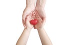 Hand of mother and child heart red isolated