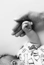 The hand of a mother and father close-up holds the fist of a newborn baby. Royalty Free Stock Photo