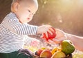 Hand mother give an apple to child (baby boy) in the sunny autumn day. Kid eating healthy food, snack. Royalty Free Stock Photo