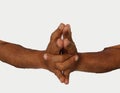 hand mudras. It includes such mudras,. Gestures is isolated on white background.