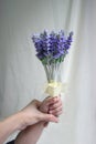 Hand of mum & kid holding lavender