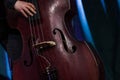 Hand of the musician on the electric upright bass at the live concert. Royalty Free Stock Photo