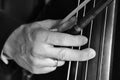 Hand of a musician playing on a contrabass closeup Black and white image