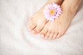 Hand and Nail Care. Beautiful Women`s Feet and Hands After Manicure and Pedicure at Beauty Salon. Spa Manicure. Royalty Free Stock Photo