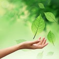 Hand with nature element leafs Royalty Free Stock Photo