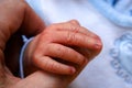 Hand of newborn baby boy Royalty Free Stock Photo