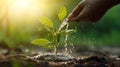 Hand nurturing and watering plants growing on fertile soil at sunset background Ecology concept Generative AI Royalty Free Stock Photo