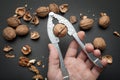 The hand with the nutcracker cleaves the walnut and takes out the core Royalty Free Stock Photo