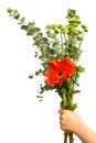 Child`s Hand Offering Flower Bouquet Royalty Free Stock Photo