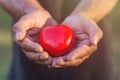 Hand of old man holding red heart in the park with green bokeh Royalty Free Stock Photo