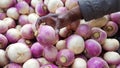 Hand of old woman of african ethnicity picking turnips at a market stall