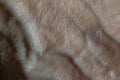 hand of old woman close up, macro photo, human skin as background