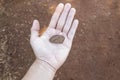 hand with one isolated Brazil nut in shell Royalty Free Stock Photo