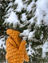 a hand in an orange mitten holds a second mitten against the background of a winter snow-covered spruce Royalty Free Stock Photo