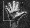 Hand with overall dimensions Royalty Free Stock Photo