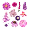 Hand painted acrylic or gouache floral elements set