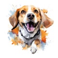 Hand Painted Beagle Dog Watercolor