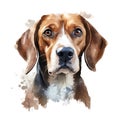 Hand Painted Beagle Dog Watercolor