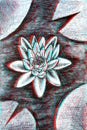 3d water lilly for anaglyph glasses