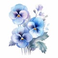 Hand Painted Blue Pansy Flowers With Leaf - Romantic Watercolor Clipart Royalty Free Stock Photo