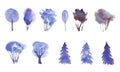 Hand painted blue watercolor Winter Set of conifers trees isolated on white