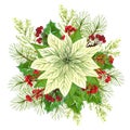 Hand painted christmas star and winter plants: holly, berries and fir branch isolated on white background. Watercolor Royalty Free Stock Photo