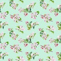 Seamless pattern with apple Blooming