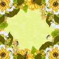 Hand painted daisies and sunflowers design on green background Royalty Free Stock Photo