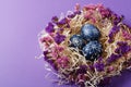 Hand painted dark blue easter eggs in nest and flowers on violet Royalty Free Stock Photo