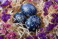 Hand painted dark blue easter eggs in nest and flowers on violet Royalty Free Stock Photo