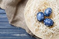 Hand painted dark blue easter eggs in nest and flowers Royalty Free Stock Photo