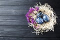 Hand painted dark blue easter eggs in nest and flowers Royalty Free Stock Photo