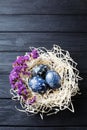 Hand painted dark blue easter eggs in nest and flowers Royalty Free Stock Photo
