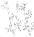 Hand painted decorative bamboo trunks with leaves on white background - vector illustration