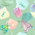 Hand painted delicate watercolor moth dragonfly pattern Royalty Free Stock Photo