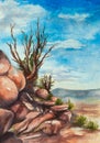 Hand Painted Desert Grand Canyon National Park watercolor illustration